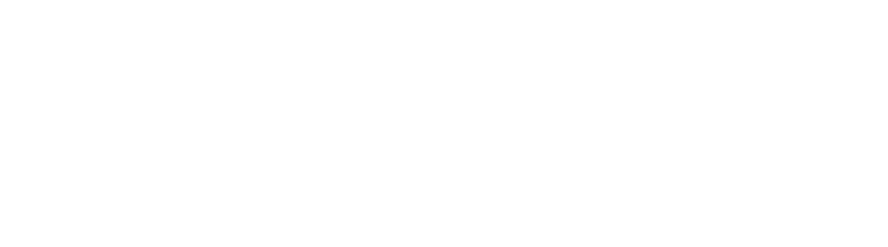 Logo de W. Ricardo